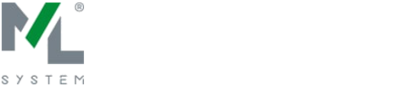Logo mlsystem